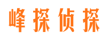 宁乡市调查公司